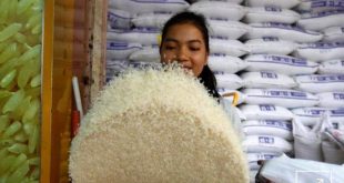 Upsurge in Vietnam imports of Cambodian farm produce