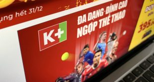 VTV to auction part of K+ stake