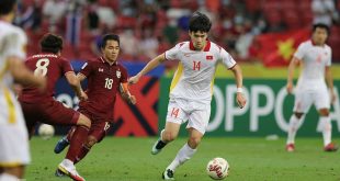 Vietnam national football team needs a reboot: expert