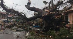 12 dead as powerful typhoon batters the Philippines