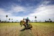 Vietnam buys 80 pct of Cambodia’s agriculture exports