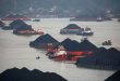 Indonesia relaxes export ban to allow 37 coal vessels to depart