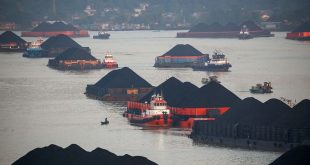 Indonesia relaxes export ban to allow 37 coal vessels to depart