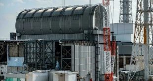 Six sue Fukushima nuclear plant operator over thyroid cancer