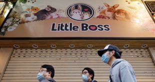 Thousands in Hong Kong volunteer to adopt hamsters amid Covid-19 fears