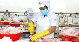 Understaffed businesses need 300,000 plus workers in HCMC