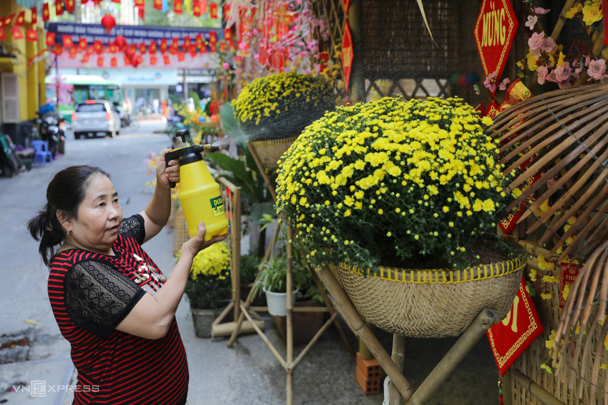 Since her house is situated by the entrance, Phi comes by to water the chrysanthemum morifolium pots in the afternoon. Everyone in the neighborhood tries their best to care for the miniature to help the alley looks more lively.