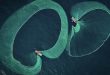Photo of anchovy fishing in Phu Yen wins int'l prize for marine conservation