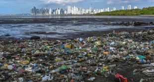 World must work together to tackle plastic ocean threat: WWF