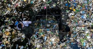 Plastic, chemical pollution beyond planet's safe limit: study