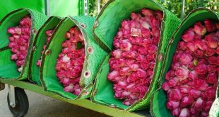 Flower exports soar in 2021