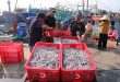 Seafood exports soar 51 pct