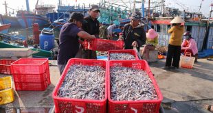 Seafood exports soar 51 pct