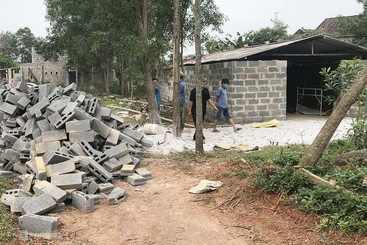 People in Quang Binhs Phu Hoa Village collect materials to build barns. Photo by VnExpress/Hoang Tao