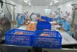 Vietnam food company acquires French poultry firm