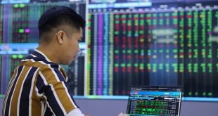 VN-Index rebounds on blue chip stocks’ gain