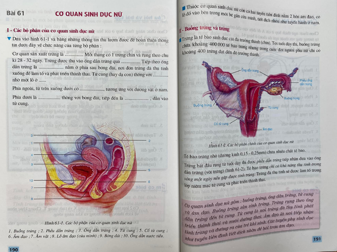 A chapter about female genitalia in an eighth-grade biology textbook.