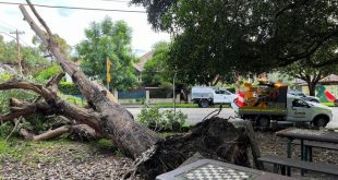 Australia to declare east coast floods a national emergency