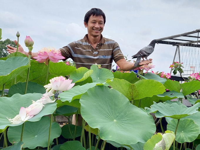 Nguyen Van Huynh stands in his 300-square-meter garden on the rooftop of his home in HCMCs District 12. Photo courtesy of Huynh