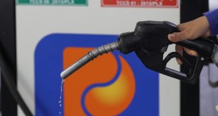 Lawmakers approve environmental tax cut on gasoline