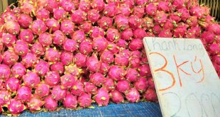 Dragon fruit sold for $1 per 6 kilograms as China remains inaccessible to exporters