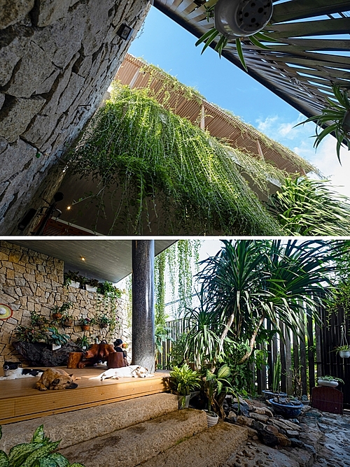 The couple planted trees inside and outside the house to provide shade, absorb heat and boost air ventilation.