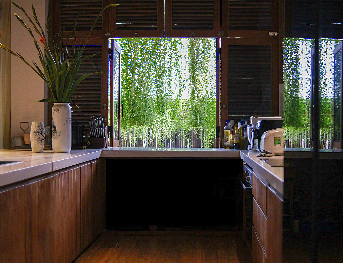 Tarlmounia acts as a greenery curtain, serving to both keep out the sun and ensure privacy for the owners.