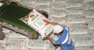 Fertilizer imports dip, but cost 55 pct more on global disruption