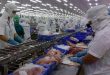 Seafood firms see Q1 revenue growth as global demand recovers