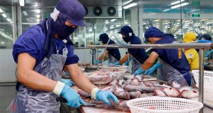 As global demand recovers, seafood firms expect jump in profits