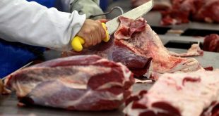 China bans meat purchases from three Brazil exporters for a week