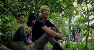 Illegal loggers in Vietnam train as jungle tour guides