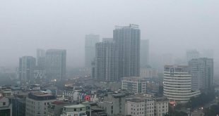 Nearly entire global population breathing polluted air: WHO