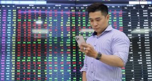 VN-Index ends losing streak on blue chips gains