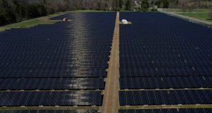 US solar industry warns of slowdown due to supply chain disruptions, tariff uncertainty