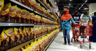 Indonesia bans palm oil exports as global food inflation spikes