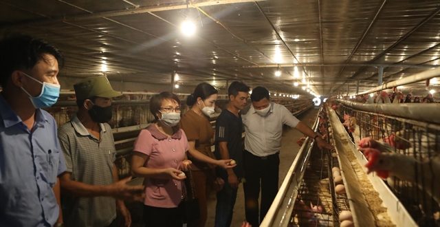Hà Nội builds safe agricultural production areas