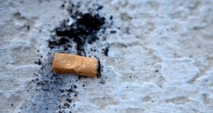 Big tobacco's environmental impact is 'devastating': WHO