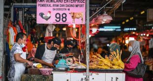 Malaysian chicken export curbs ruffle feathers