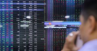 Bourse slaps restrictions on FLC-related stocks