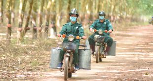 Vietnam's largest rubber firm expects profit to go sideways