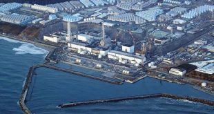 Japan's top court says govt not responsible for Fukushima damage: media