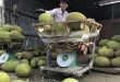 Fruit exports to China slump on tightened Covid-19 restrictions