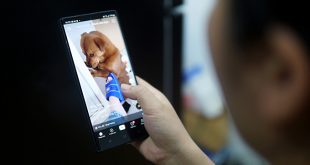 Short videos becoming addiction of choice for Vietnamese