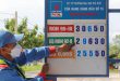 Cut gasoline taxes further to hold price surge: lawmakers