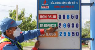 Cut gasoline taxes further to hold price surge: lawmakers