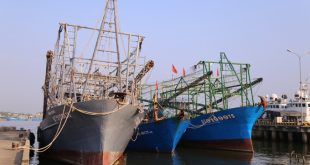 Half of fishing vessels cease operations as fuel becomes unaffordable