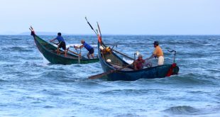 US biggest buyer of Vietnamese seafood