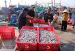 China scraps Covid bans on Vietnamese seafood