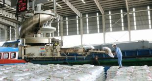 Soaring prices send fertilizer firms' profits skyrocketing